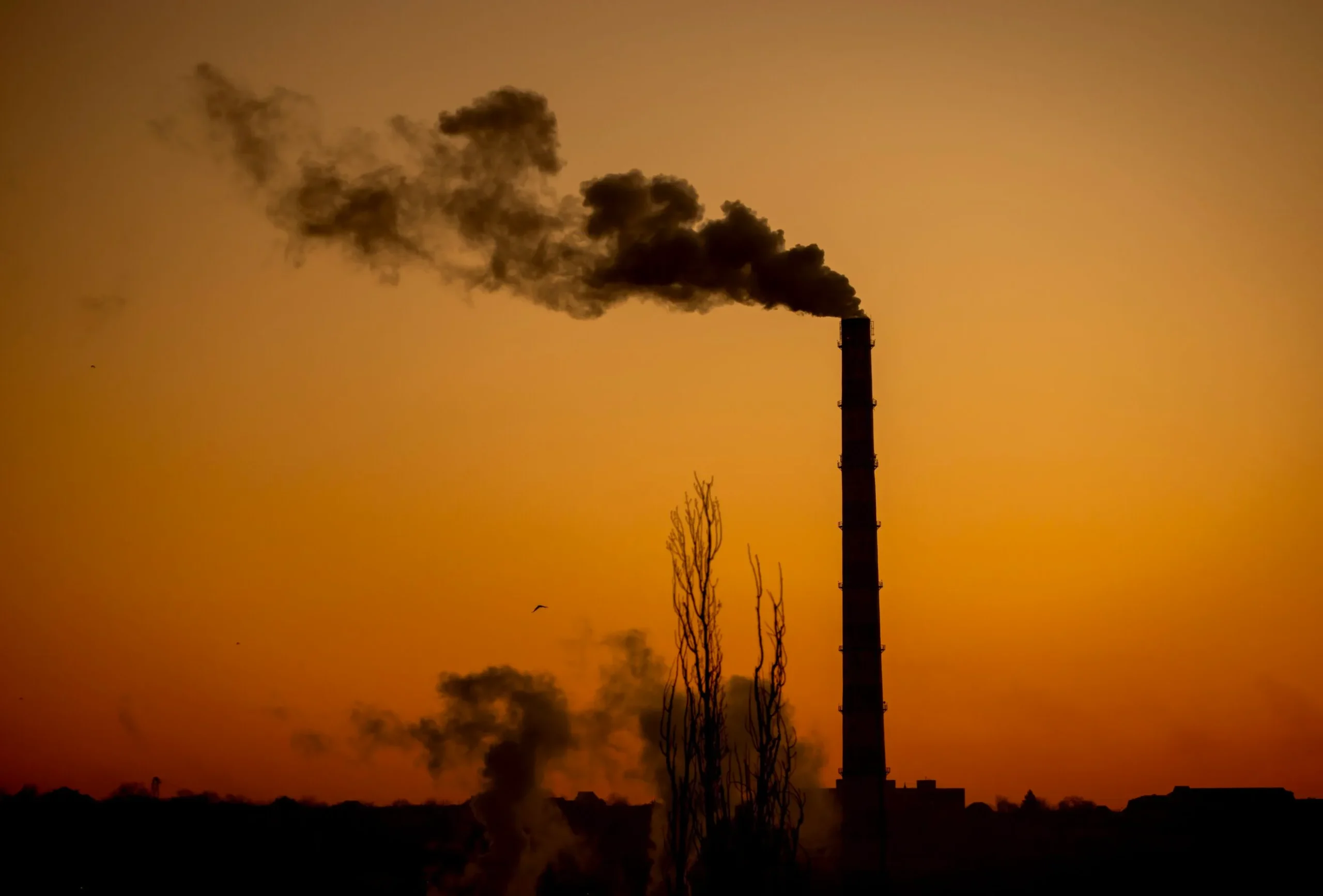 UE vrea să elimine complet energia rusească